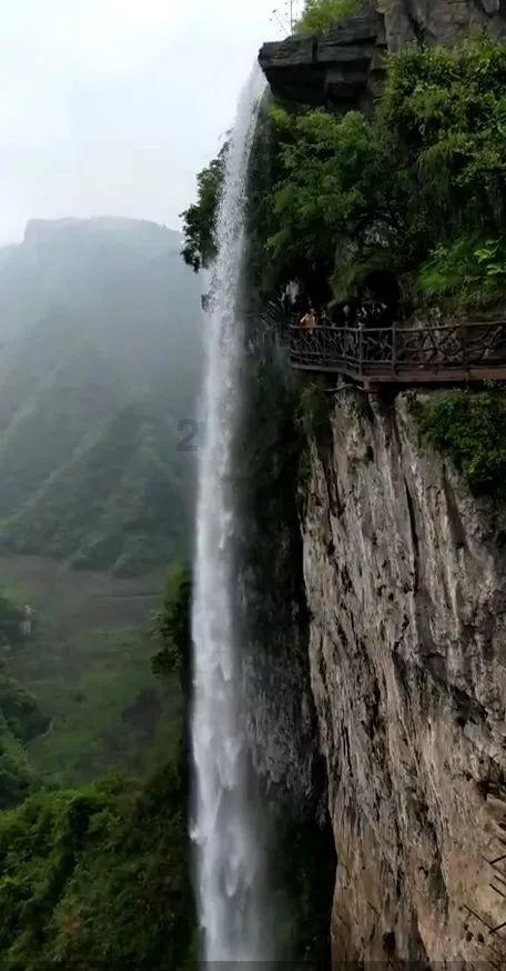 阴阳师